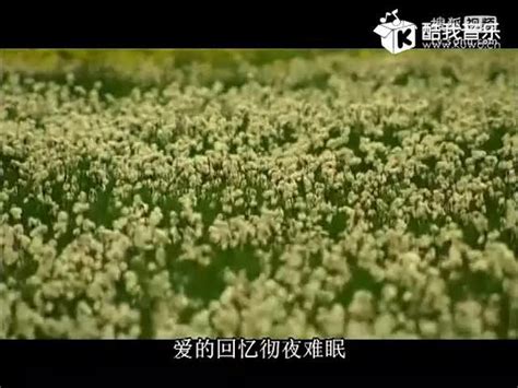 《梦缠绵MV》 - 冷漠&庄心妍-音乐视频-搜狐视频