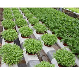 Hi-Tech Agriculture | Agricultural Irrigation Manufacturers in india