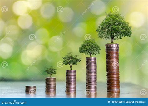 Tree Growth 的图像结果