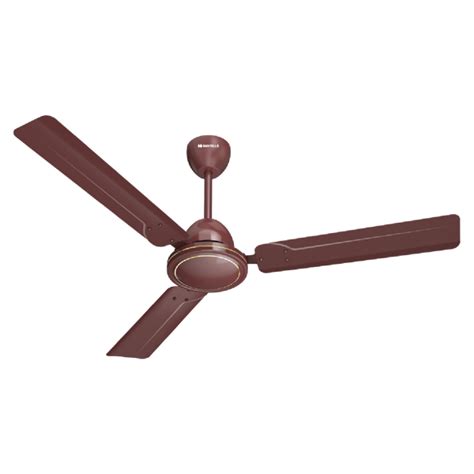 Buy Havells 5 Star 48"EFFICIENCIA DX Brown Ceiling Fan - Vasanth & Co