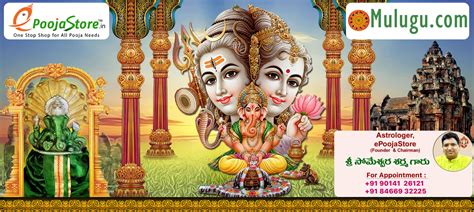 Chicago Telugu Calendar 2025 | USA, Chicago | Telugu Calendars-Mulugu ...