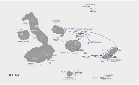 Image result for Alien Environemtn