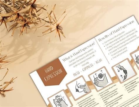 Hand Expression Colostrum 的图像结果