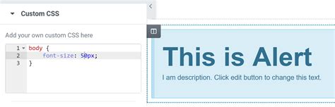 Image result for Using CSS in WP Elementor