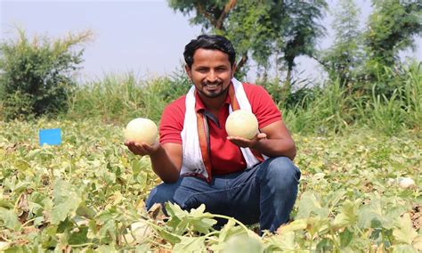 Success Story: महाराष्ट्रातील शेतकऱ्याचा YouTube वर जलवा! शेतीचे ...