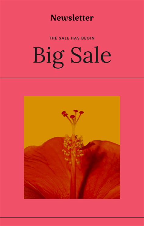 Image result for Newsletter Format Examples