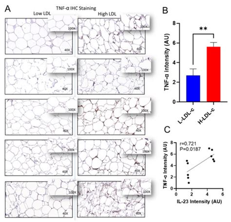 Increased Adipose Tissue Expression of IL-23 Associates with ...