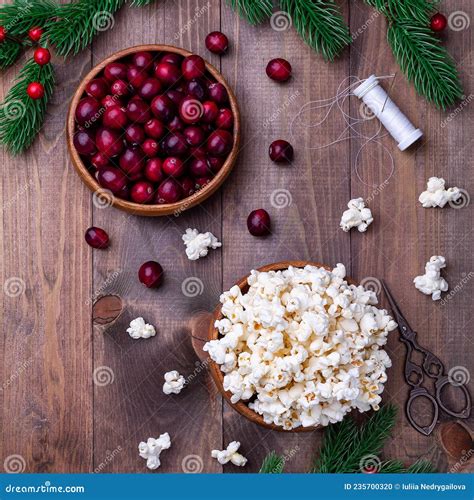 Making Traditional Handcrafted Christmas Popcorn Garland with Red Cranberries, Square Format ...