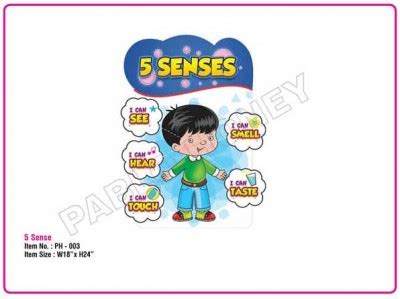 Student Cutout Play Items,Cutouts Play Items,Manufacturers, Suppliers ...