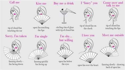 Image result for Fan Programming Language