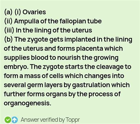 Trace the changes that take place in a human female from gamete ...