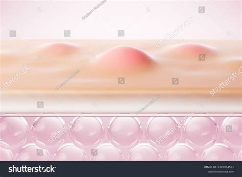 Image result for Skin Map Code