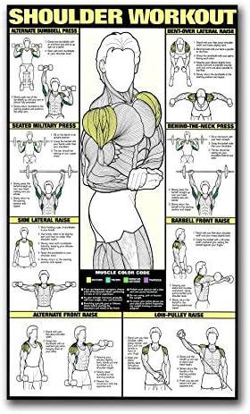 PIXELARTZ Wall Poster Motivational Shoulder Workout and Exercises ...