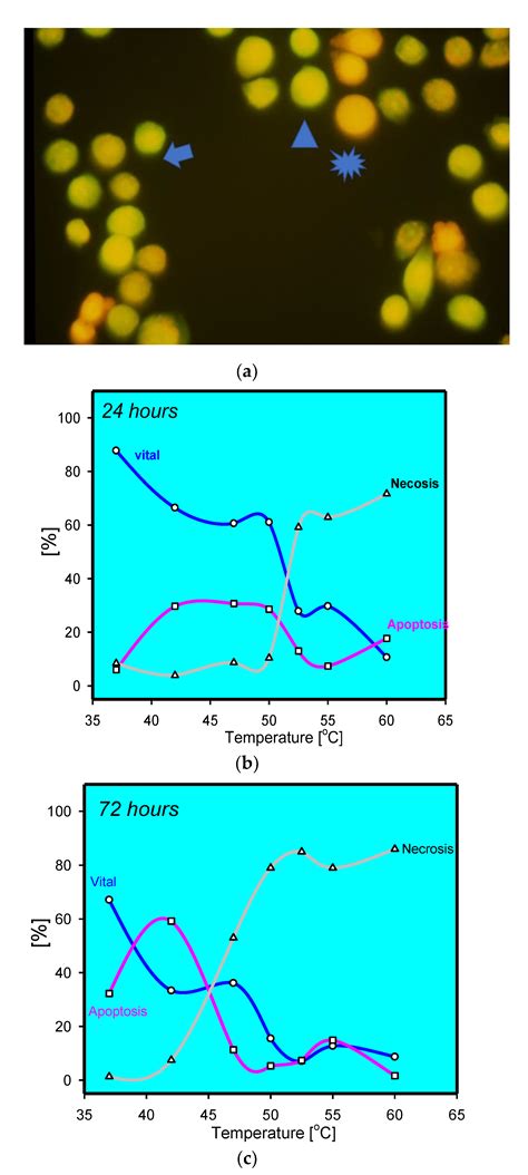 Burn Injury: Mechanisms of Keratinocyte Cell Death