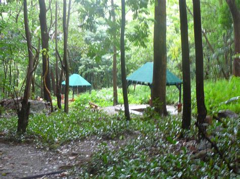 SOUFRIERE VOLCANO (2025) All You Need to Know BEFORE You Go (with ...