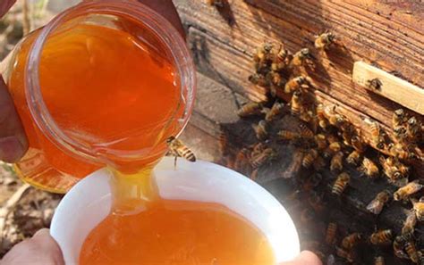 蜂蜜加盐的作用与功效及简单做法 - 蜂蜜吃法 - 酷蜜蜂
