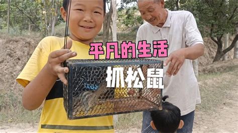 山区回族老爷爷为了孙子们过一个有趣的暑假，给他们抓了小松鼠。 - YouTube
