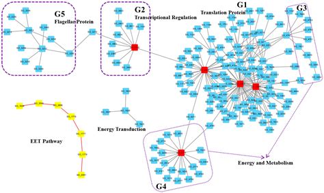 Active Protein Network Analysis Reveals Coordinated Modules and ...
