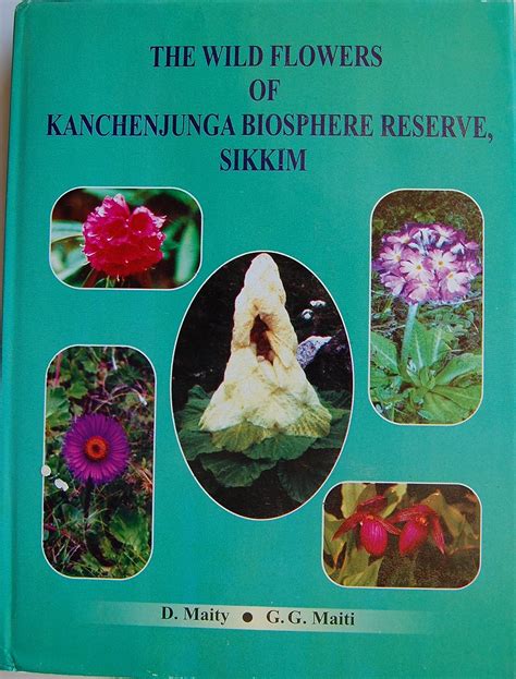 Buy Wild Flowers of Kanchenjunga Biosphere Reserve Sikkim Book Online ...