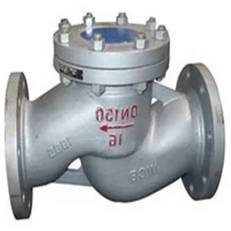 Check Valve - Piston / Lift Type Check Valve Manufacturer from New Delhi