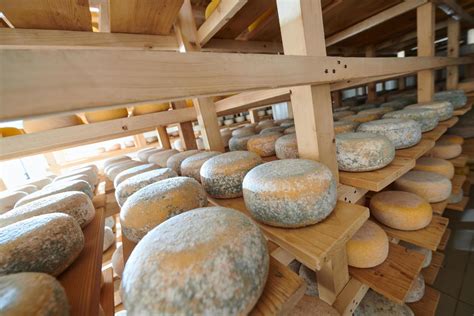 Image result for Ancient Cheese Factory