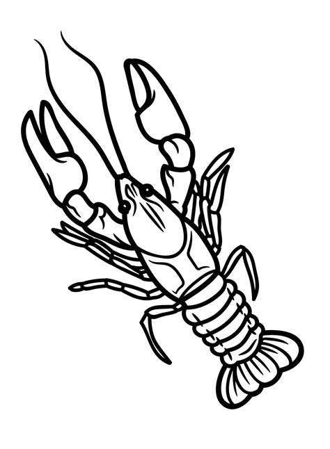 Crawfish Clipart Images | Free Download | Png Transparent – Free ...