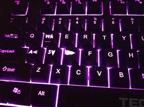 Amazon.in: Buy Tecknet X702 Gryphon Illuminated Programmable Gaming ...