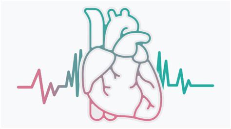 EECP Treatment-Second Opinion for Bypass Surgery and Angioplasty|EECP ...