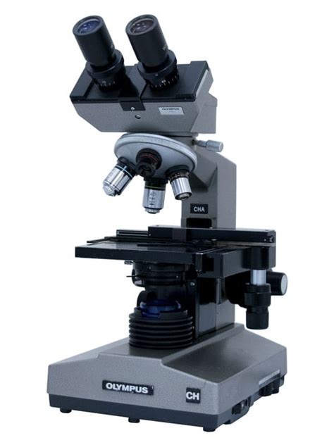 Image result for Microscope Labeled