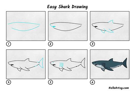 How To Draw A Shark Easy Step By Step at Ruth Tolbert blog