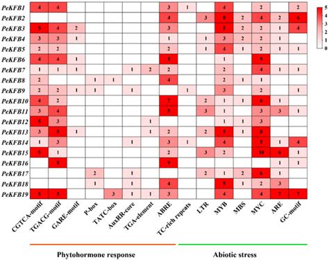 Identification of KFB Family in Moso Bamboo Reveals the Potential ...