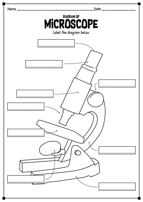 Image result for How To Use A Microscope For Elementary Students