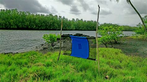 How to Use Trap Target Launcher 的图像结果