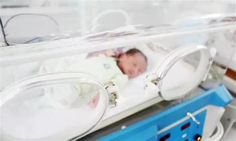 Postnatal corticosteroid treatment more effective in neonates born to ...