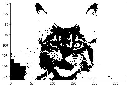 Image Processing Tutorial 的图像结果