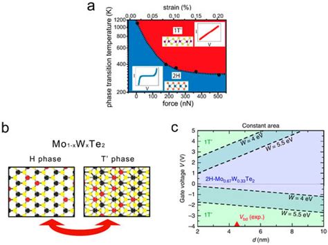 The Recent Progress of Two-Dimensional Transition Metal Dichalcogenides ...
