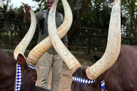 RWANDA TRAVEL WHISPERS (2026) All You Need to Know BEFORE You Go (with ...