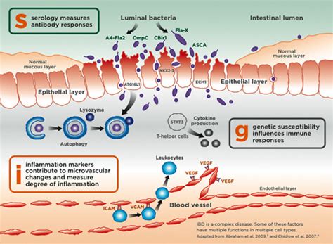 Image result for Prometheus Testing