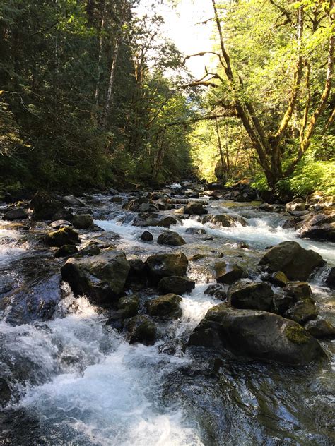 Seal Rock Campground in Olympic National Forest, Washington: Reviews ...