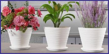 StyleX Store Plastic 8 inch Plant Pots with Drainage Holes and Tray ...