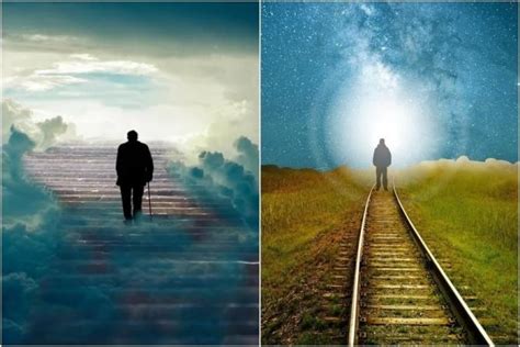 Death is not real as quantum immortality will help humans live forever ...