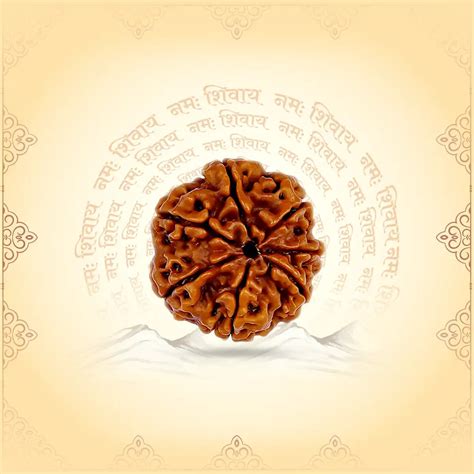 Rudraksha For Aquarius Sign – Life Changing Astro