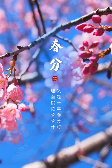 二十四节气丨今日春分 最美的春天，分你一半_习俗_中国_被称为
