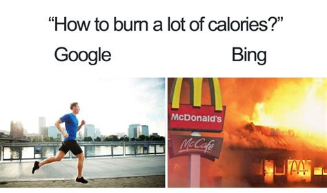 Bing Memes 的图像结果