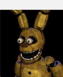 Image result for Spring Trap Children Meme