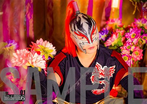 SUGI 2022／10種類 | ハコグラビティ