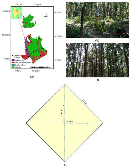 Spaceborne Multifrequency PolInSAR-Based Inversion Modelling for Forest ...