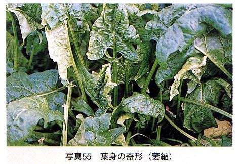 Image result for Testing Code for Hand Phone