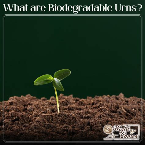 Wight & Comes Funeral Chapel | Watertown SD