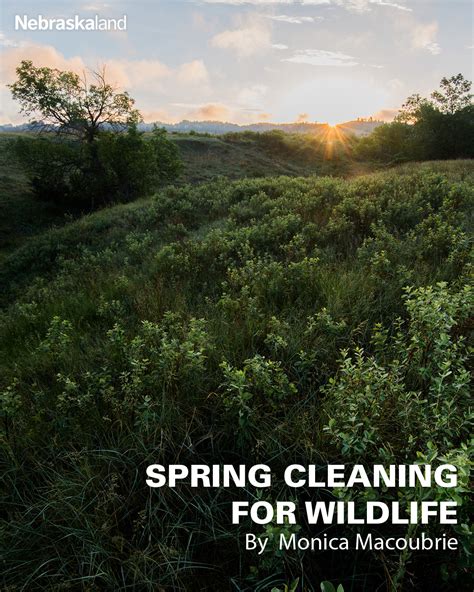 Image result for Nebraska Spring Break Beaches